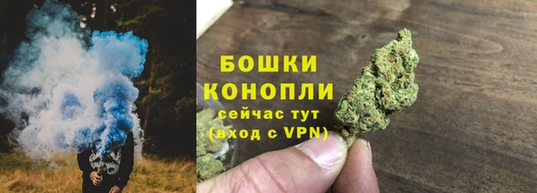 индика Бронницы